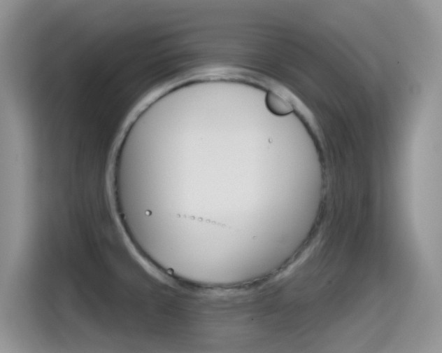 X0000114651429200910200952