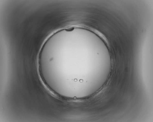 X0000114651431200910200952