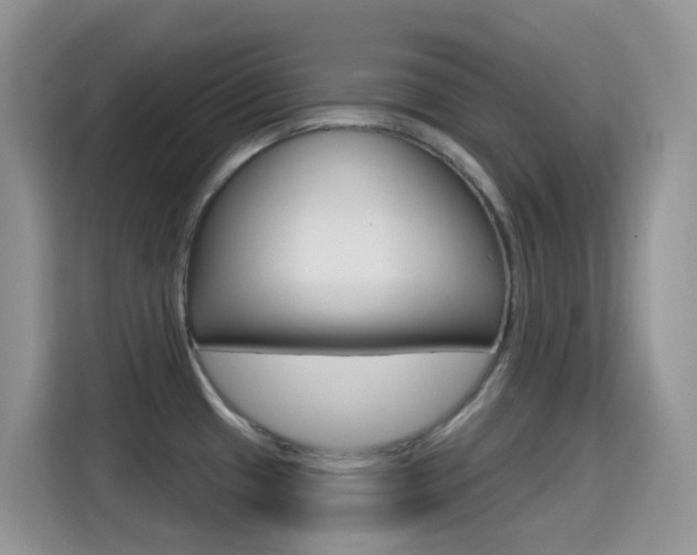 X0000114651433200910200952