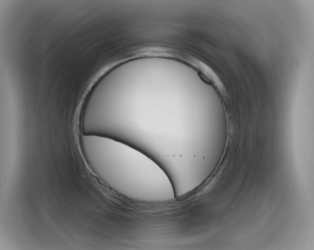 X0000114651435200910200952