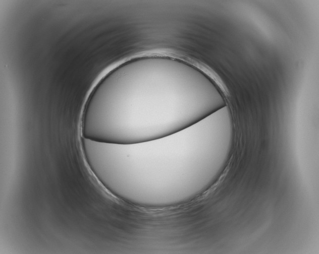 X0000114651436200910200952