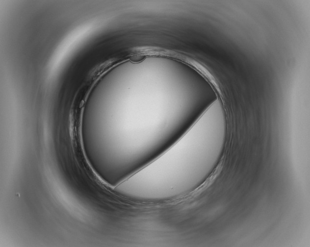 X0000114651438200910200952