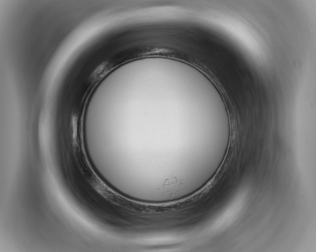 X0000114651439200910200952