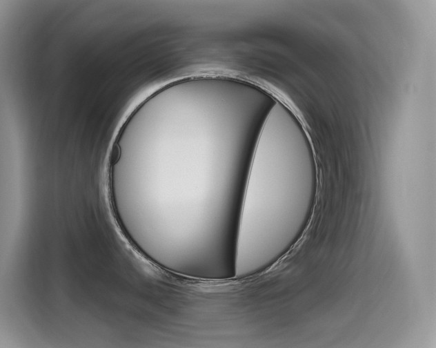 X0000114651440200910200952