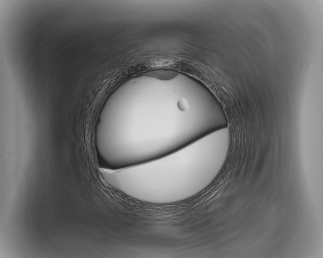 X0000114651441200910200951