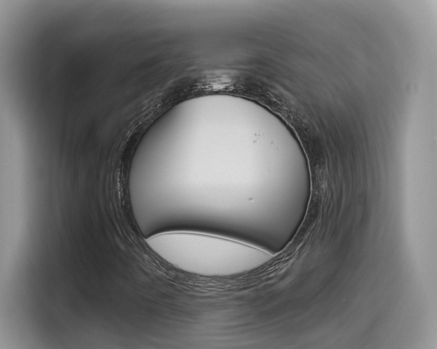 X0000114651442200910200951