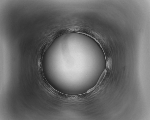 X0000114651444200910200951