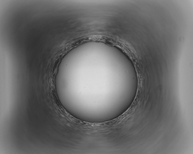 X0000114651445200910200951