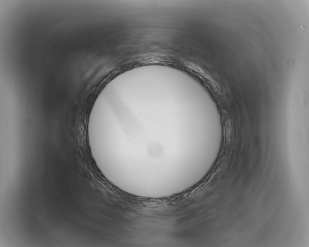X0000114651446200910200951