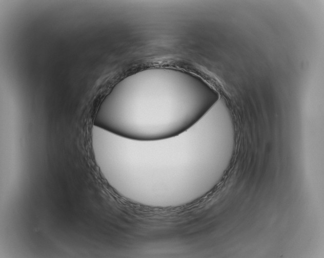 X0000114651447200910200951