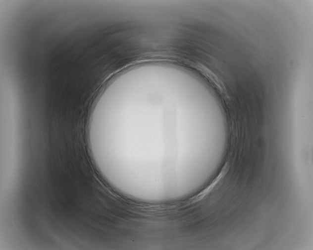 X0000114651449200910200951