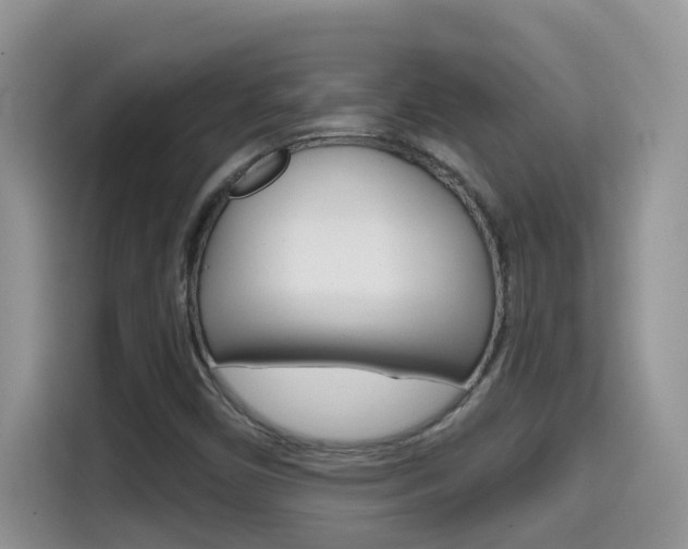 X0000114651450200910200951