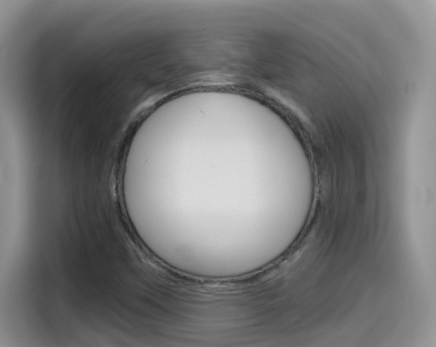 X0000114651451200910200951