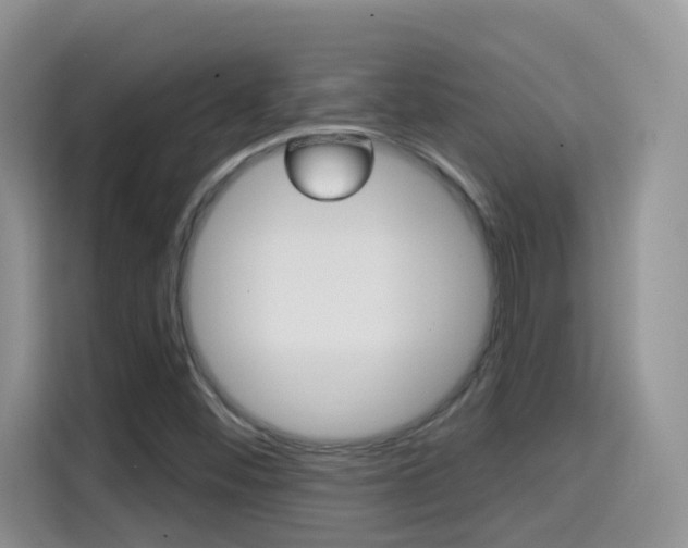 X0000114651452200910200951