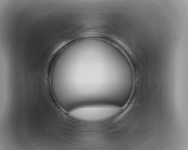 X0000114651453200910200951