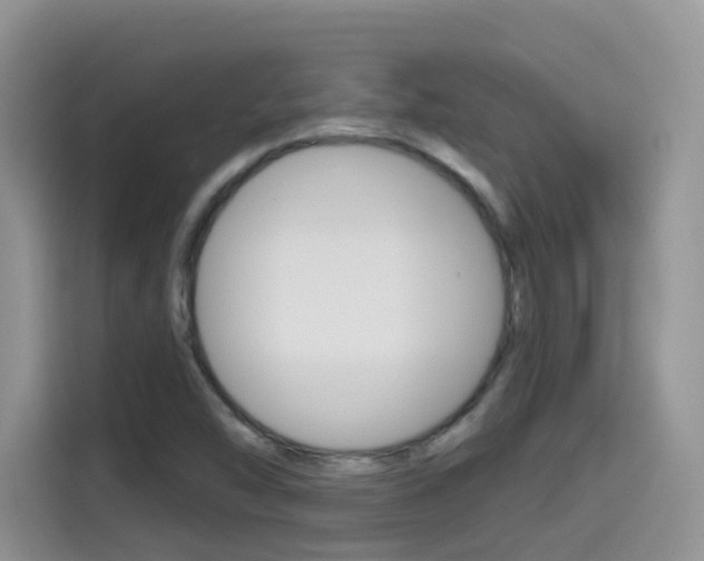 X0000114651454200910200951