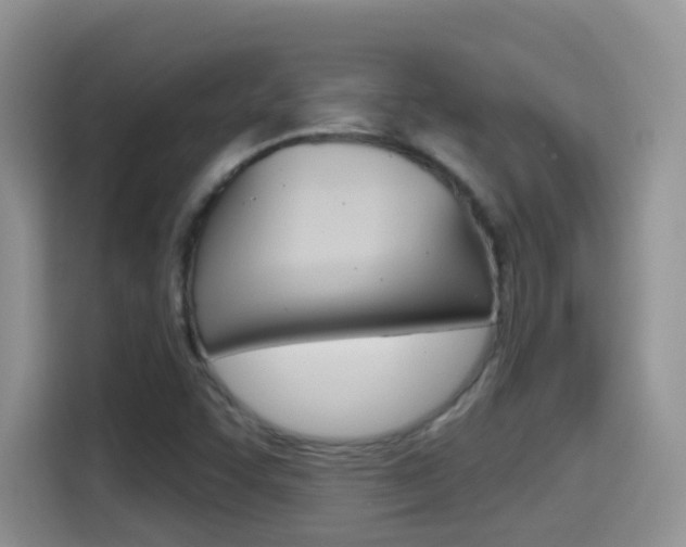X0000114651455200910200951