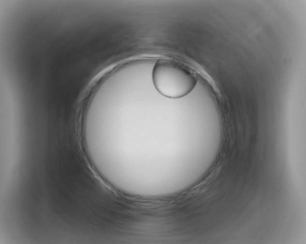 X0000114651456200910200951