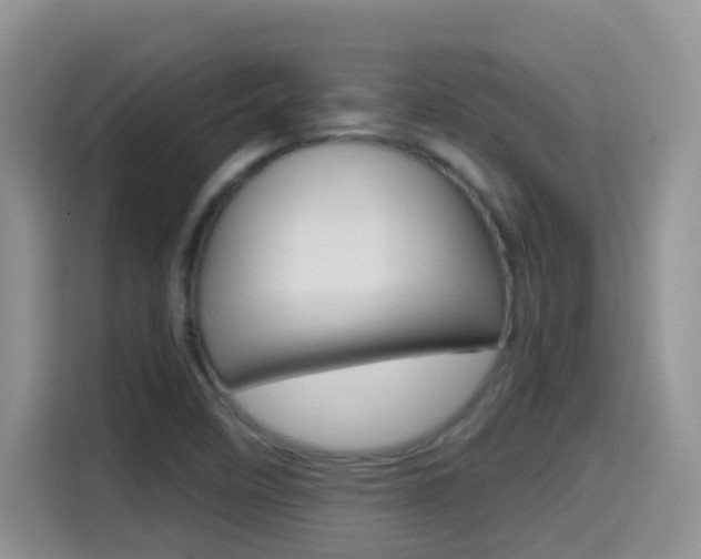 X0000114651458200910200951
