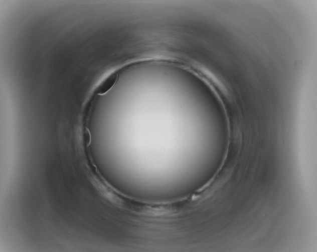 X0000114651460200910200951