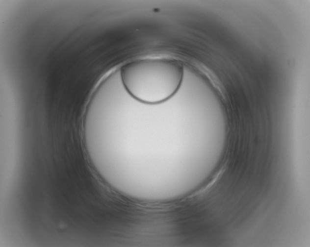 X0000114651465200910200951