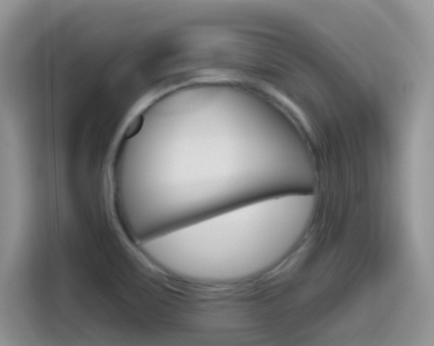 X0000114651467200910200951