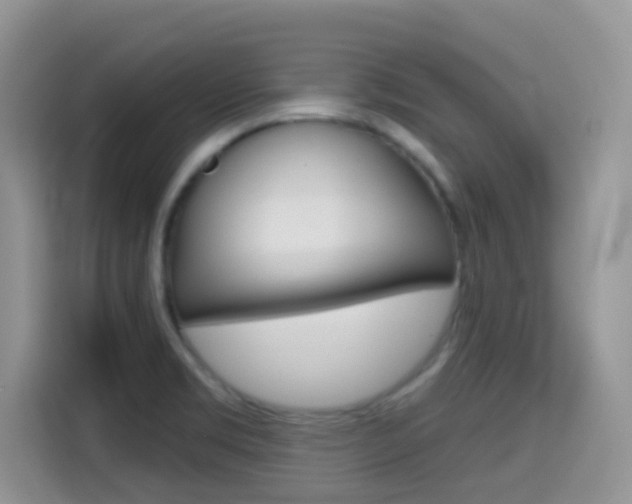 X0000114651469200910200951