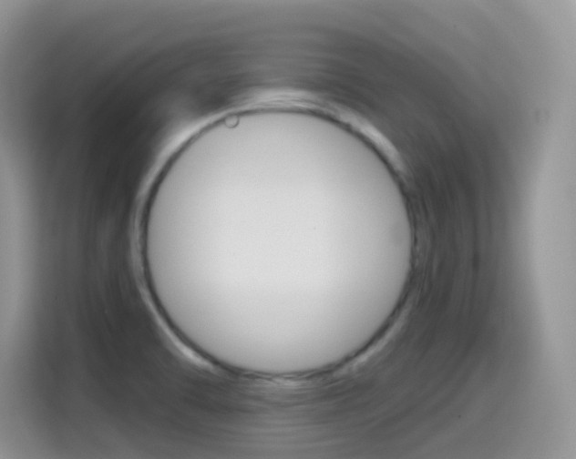 X0000114651470200910200951