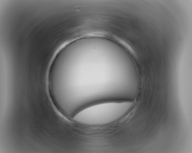X0000114651471200910200951