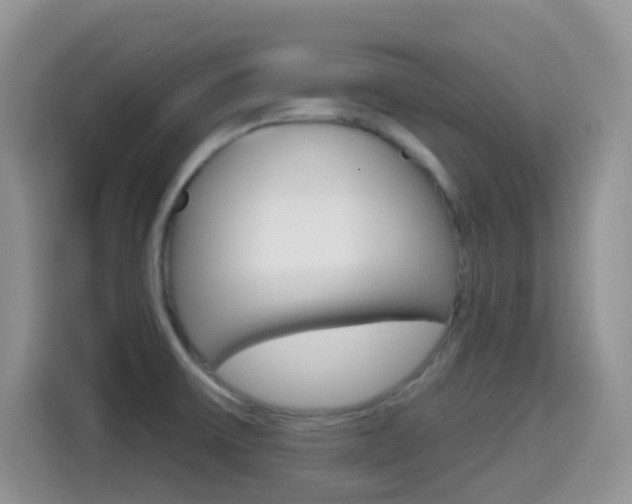 X0000114651475200910200951