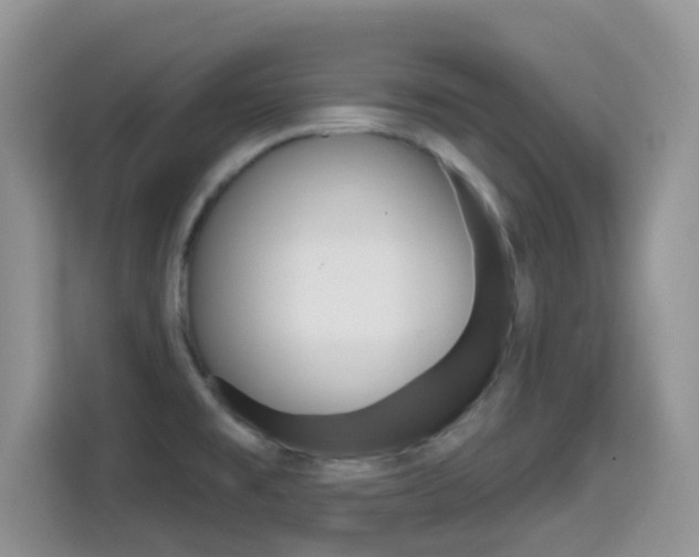 X0000114651477200910200951