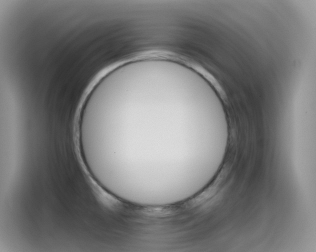 X0000114651478200910200951