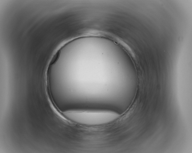 X0000114651479200910200951