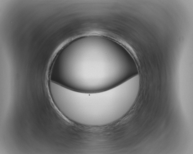 X0000114651480200910200951