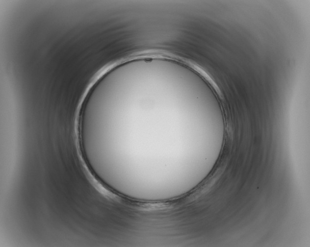 X0000114651482200910200951