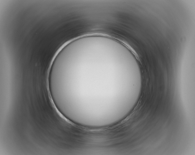 X0000114651484200910200951