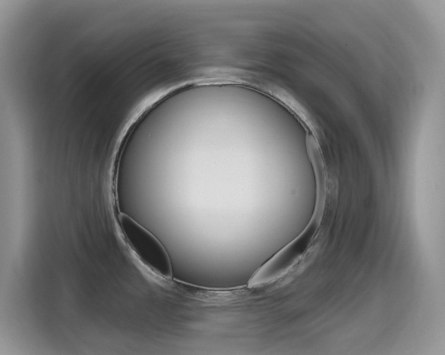 X0000114651485200910200951