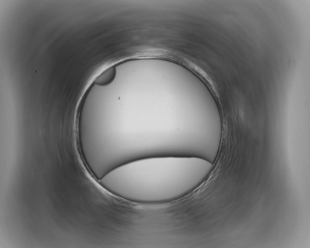 X0000114651487200910200951
