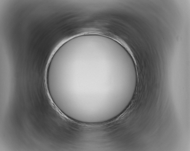 X0000114651488200910200951