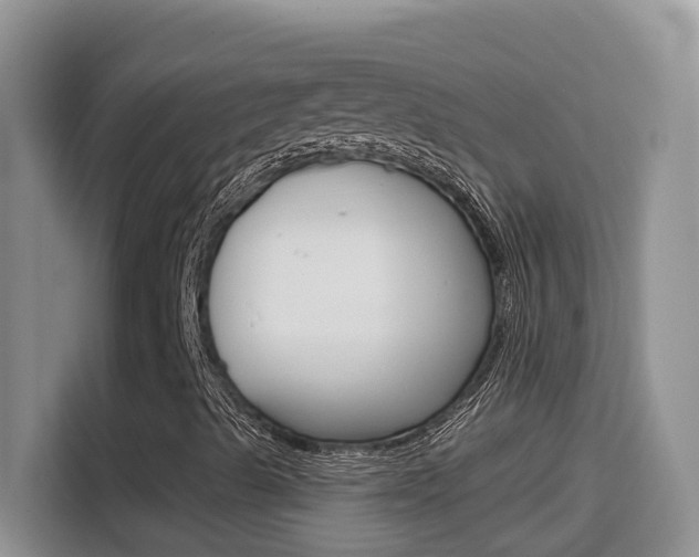 X0000114651489200910200950