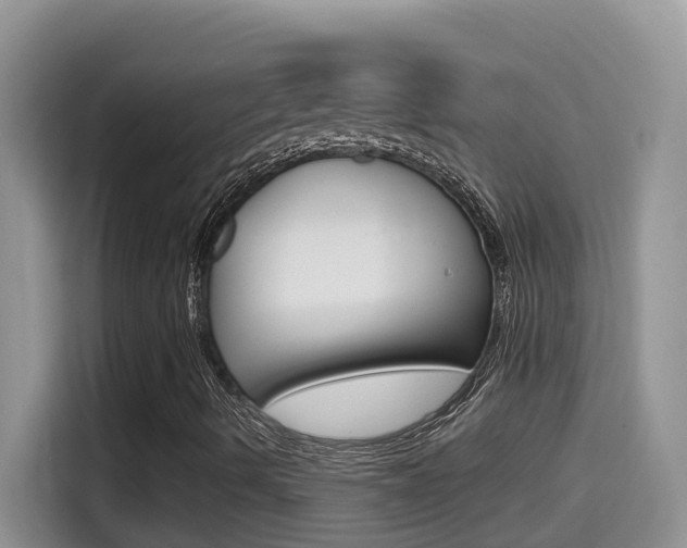 X0000114651490200910200950