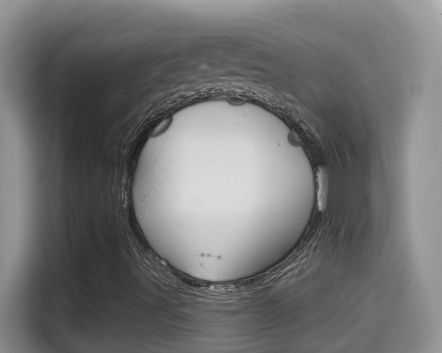 X0000114651491200910200950