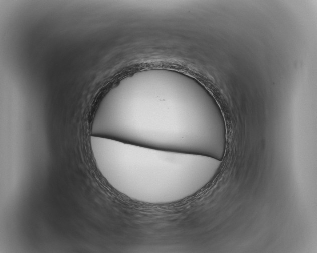 X0000114651493200910200950