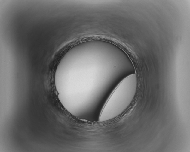 X0000114651494200910200950