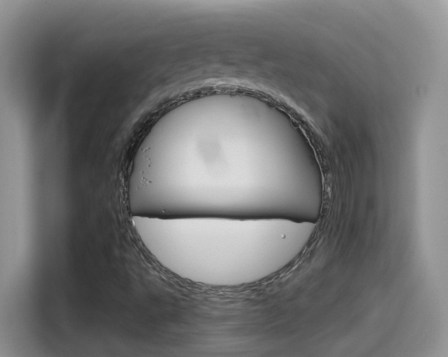 X0000114651495200910200950