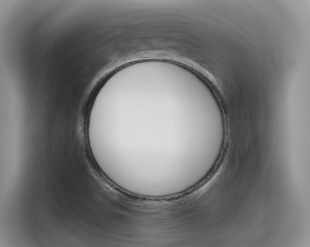 X0000114651498200910200950