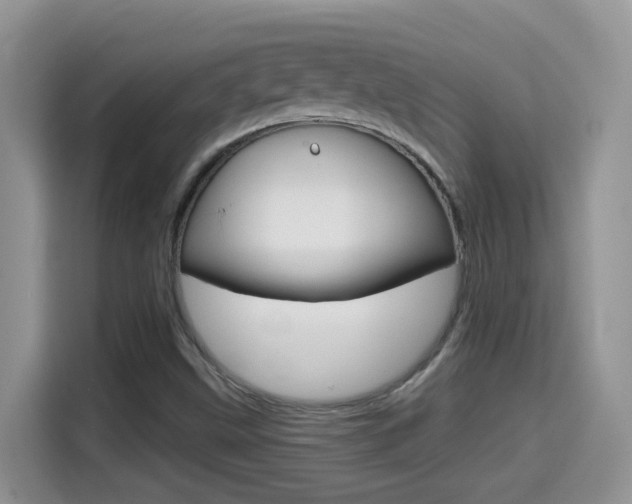 X0000114651499200910200950