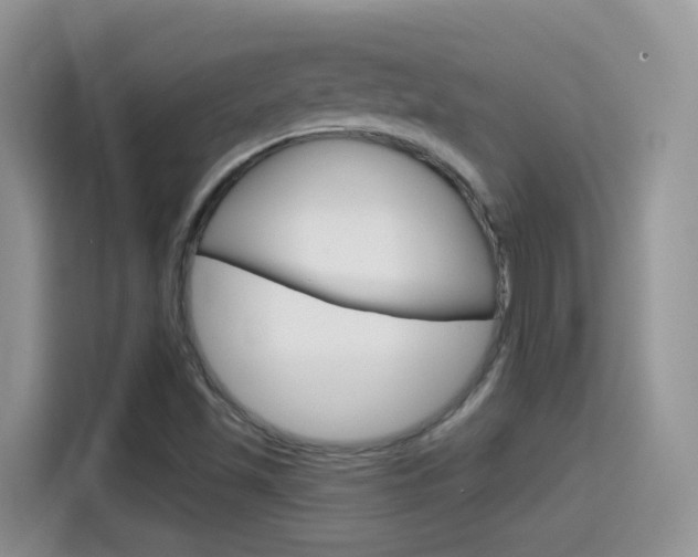 X0000114651501200910200950