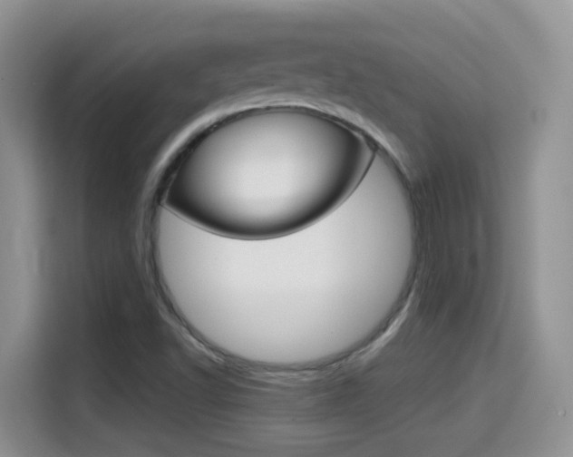 X0000114651502200910200950