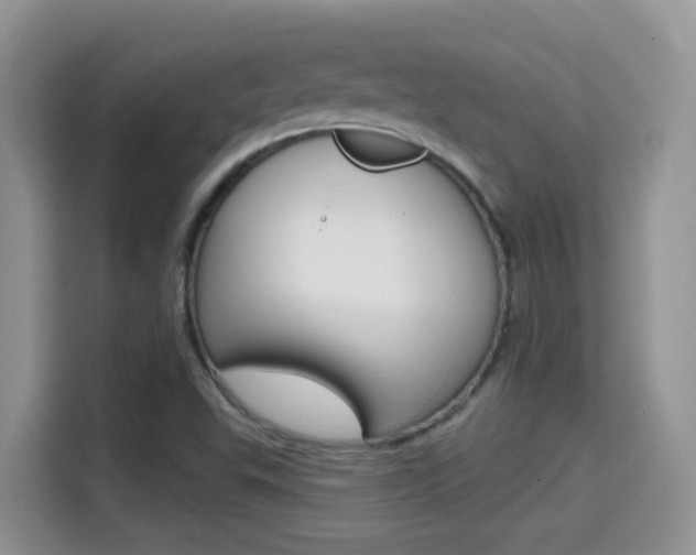 X0000114651503200910200950